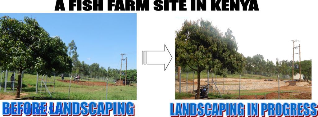 Landscaping Kenya